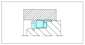 NON STANDARD SEALS POLYPAC B-NWO - KR
