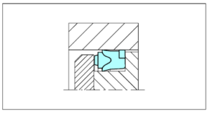 NON STANDARD SEALS POLYPAC DS - DS-NEO
