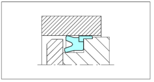 NON STANDARD SEALS SEALING PARTS RSE-W