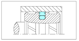 NON STANDARD SEALS TURCON GLYD RING CR