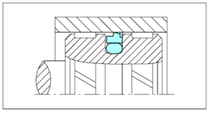 NON STANDARD SEALS TURCON STEPSEAL CR